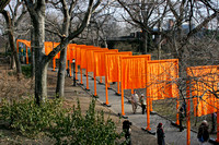 Christo and Jean-Claudde: The Gates in New York's Central Park, 2005, select